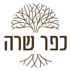 קבוצה לאמהות - כפר שרה